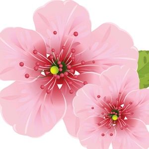 Meet your Posher, Norma